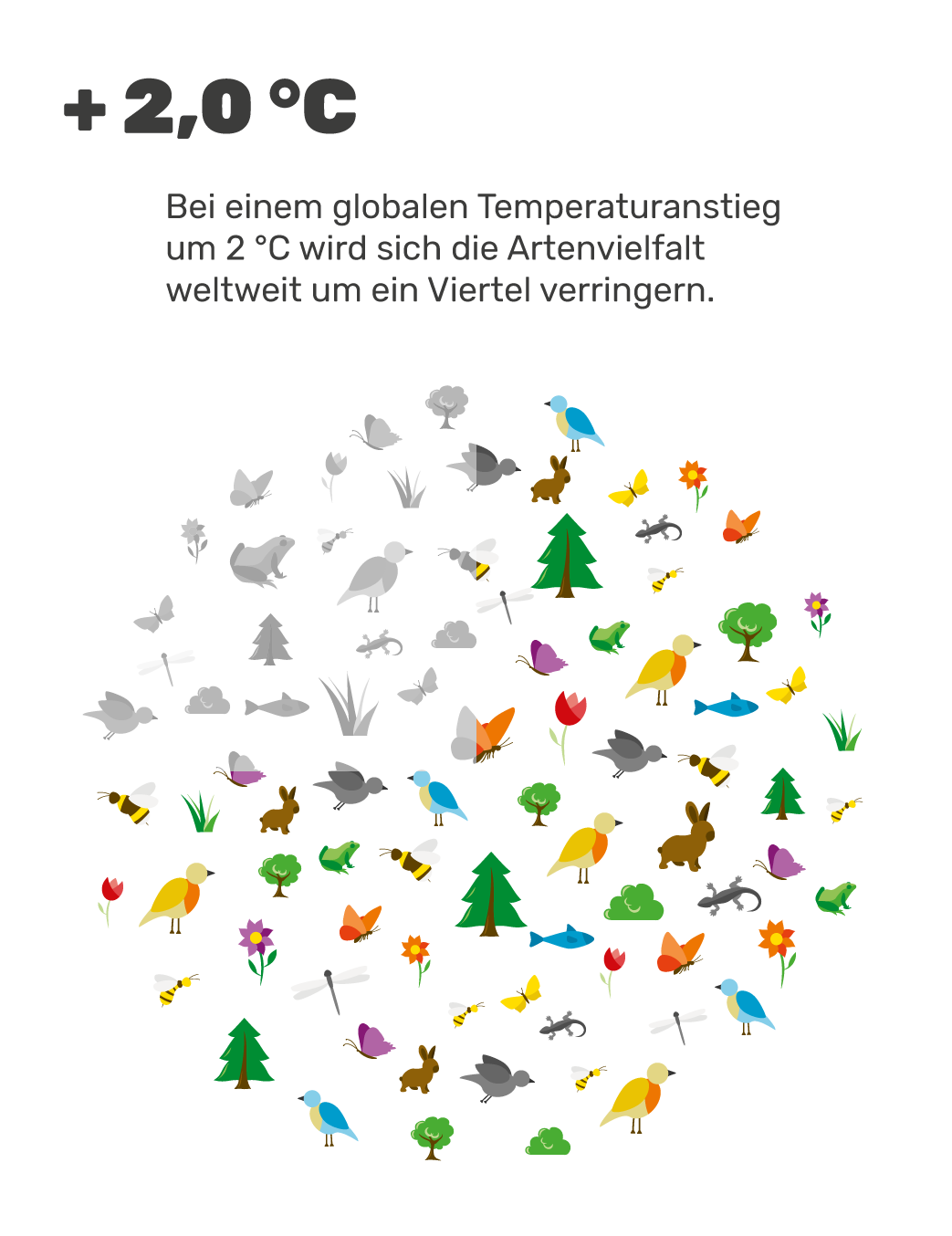 Klimawandel Und Artenvielfalt | GLOBAL 2000